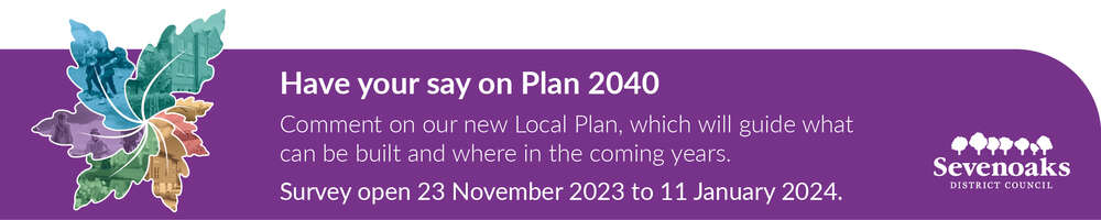 Plan 2040 - District Councillor Laurence Ball